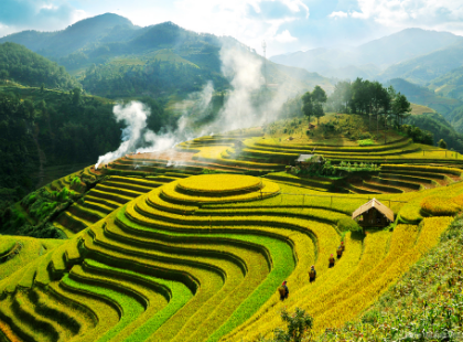 hoa-binh-muong-la